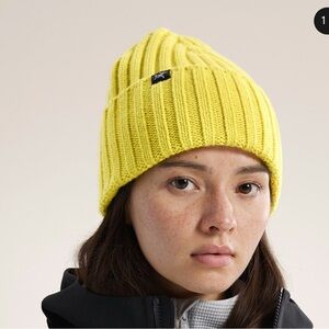 Arc'teryx chunky ribbed toque beanie